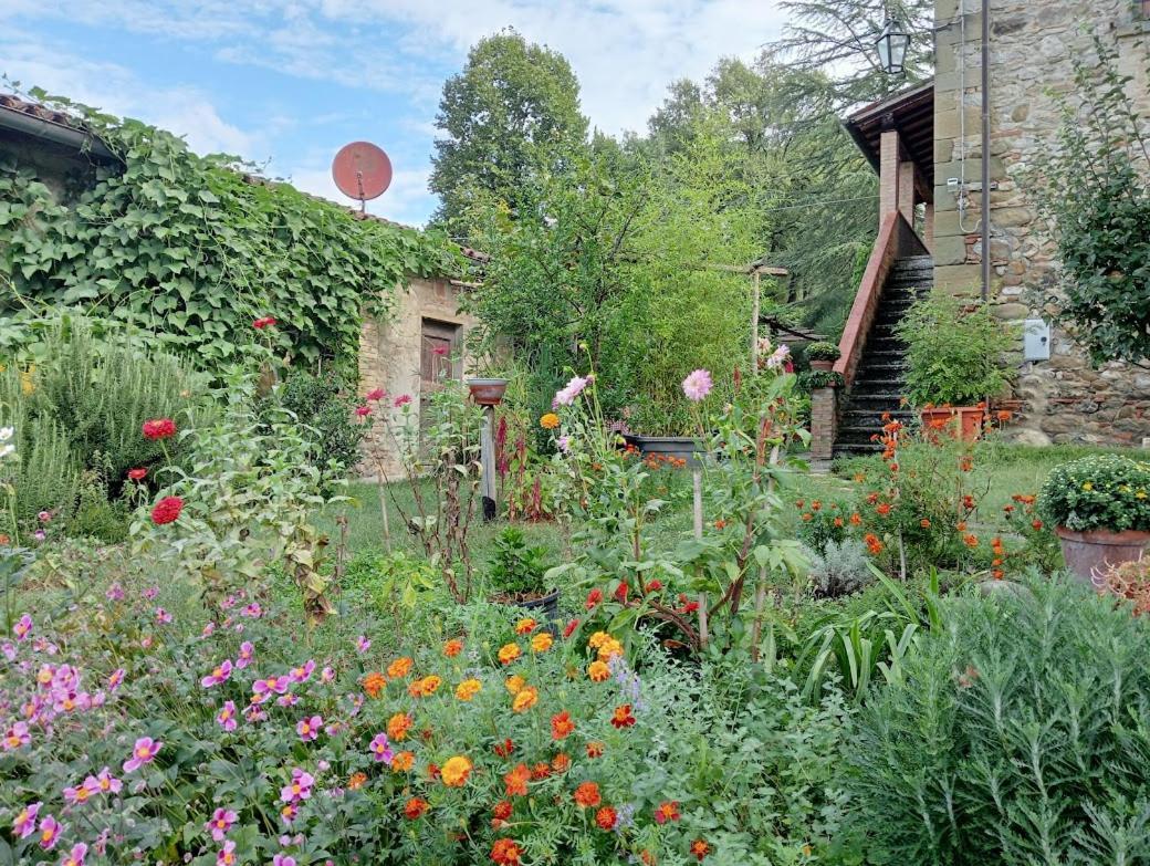 San Secondo Tana Del Tasso Bed & Breakfast エクステリア 写真