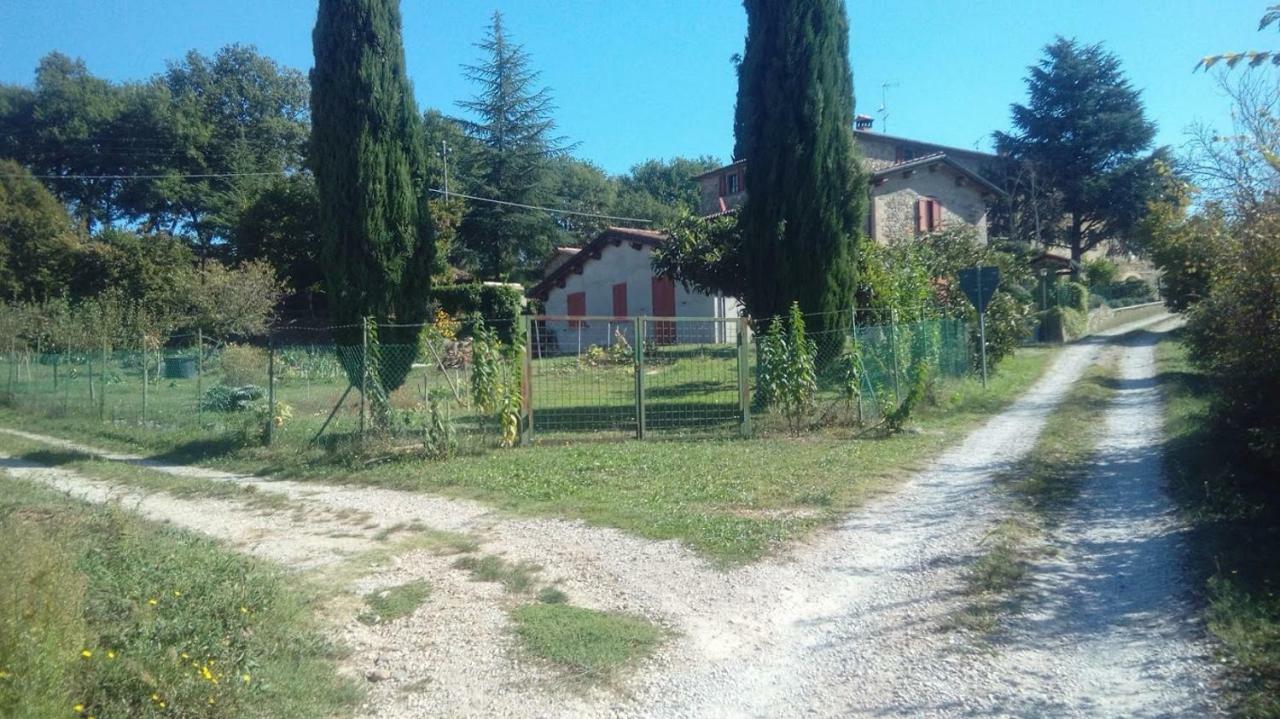 San Secondo Tana Del Tasso Bed & Breakfast エクステリア 写真