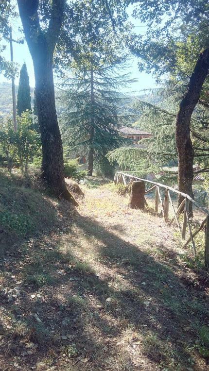 San Secondo Tana Del Tasso Bed & Breakfast エクステリア 写真