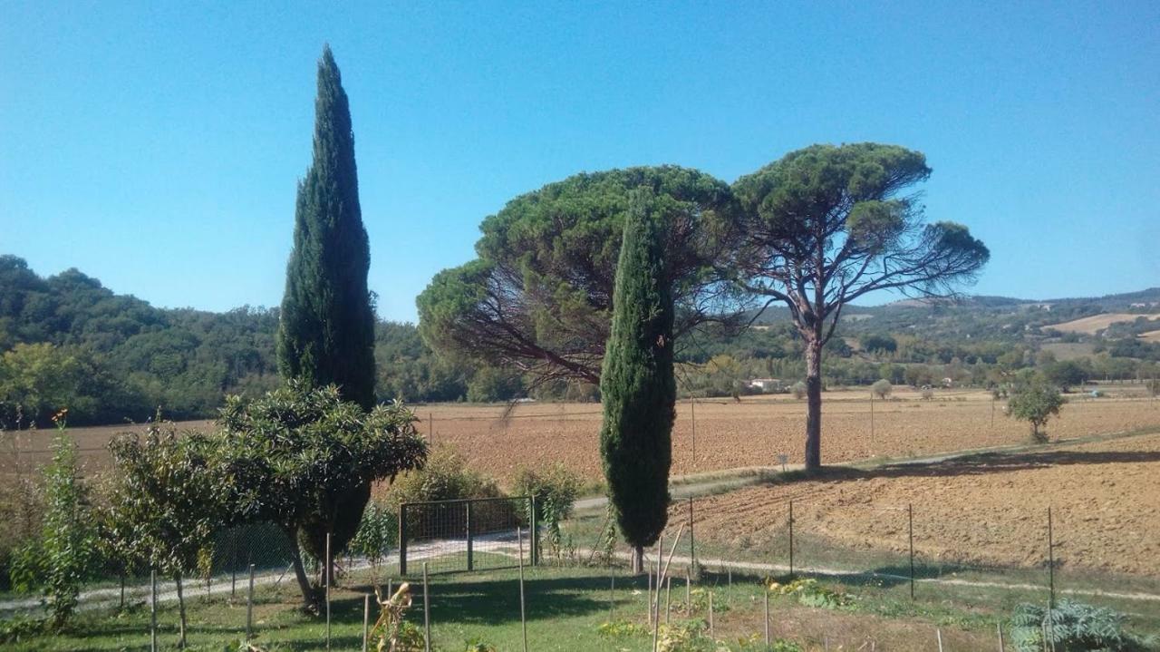 San Secondo Tana Del Tasso Bed & Breakfast エクステリア 写真